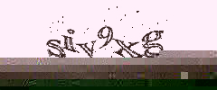 Authorization Image